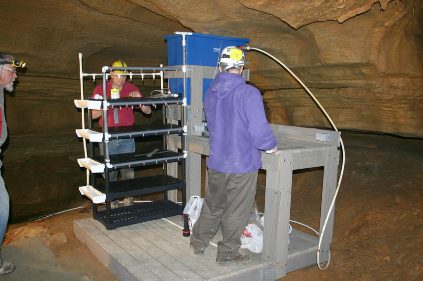 Cave Snail Propogation Station